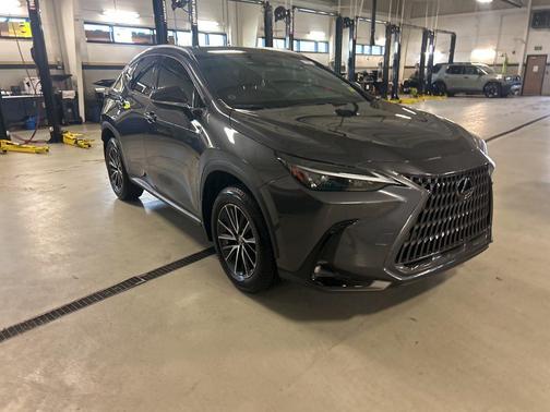 Cloudburst Gray 2025 Lexus NX 350 Premium