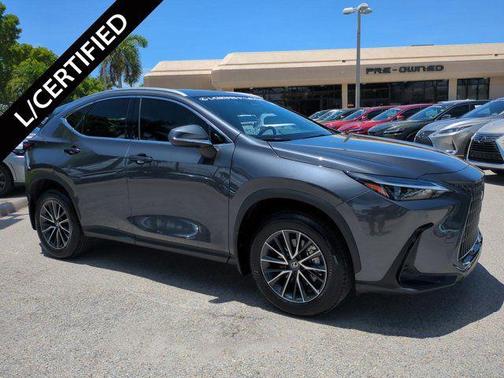Cloudburst Gray 2025 Lexus NX 350 Premium