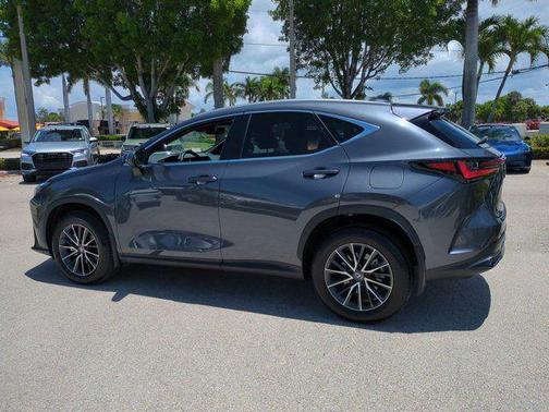 Cloudburst Gray 2025 Lexus NX 350 Premium