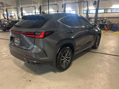 Cloudburst Gray 2025 Lexus NX 350 Premium