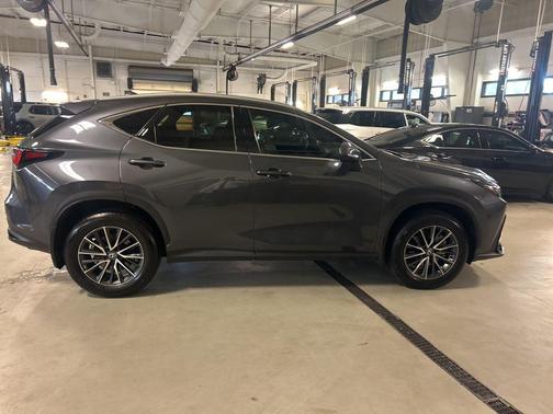 Cloudburst Gray 2025 Lexus NX 350 Premium