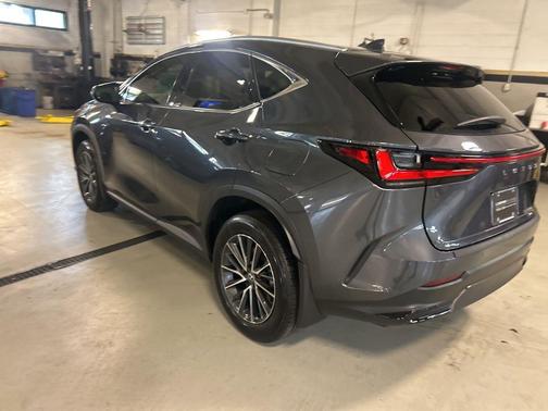 Cloudburst Gray 2025 Lexus NX 350 Premium