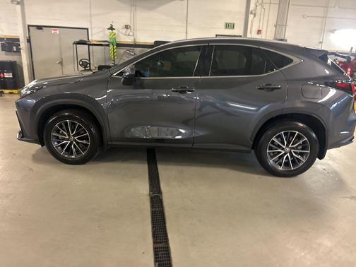 Cloudburst Gray 2025 Lexus NX 350 Premium