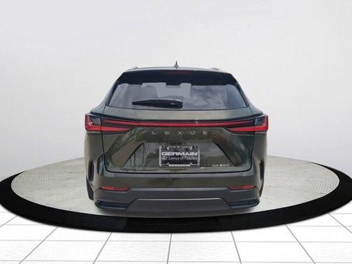 2025 Lexus NX 250 Premium