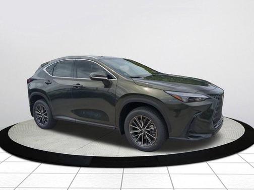 2025 Lexus NX 250 Premium
