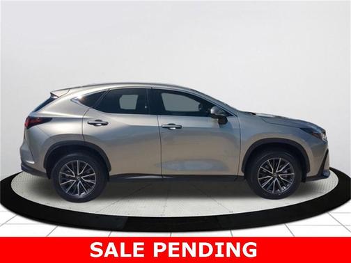 2025 Lexus NX 250 Premium