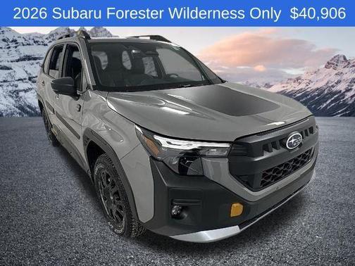 Gray 2026 Subaru Forester Wilderness