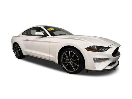 Oxford White 2019 Ford Mustang EcoBoost