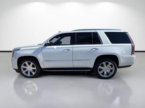 Crystal White Tri-Coat 2020 Cadillac Escalade Luxury