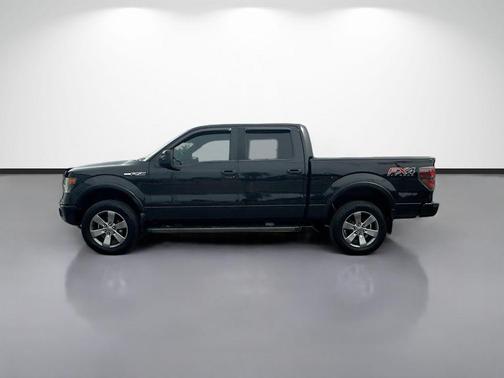 Tuxedo Black Metallic 2014 Ford F-150 FX4
