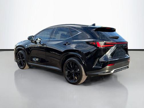 2025 Lexus NX 350 F SPORT Handling