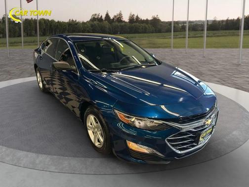 2019 Chevrolet Malibu 1LS
