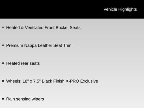 2024 Kia Telluride SX-Prestige X-Pro