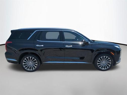 Abyss Black Pearl 2023 Hyundai PALISADE Calligraphy
