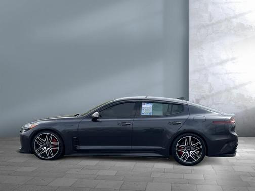 Panthera Metal 2019 Kia Stinger GT