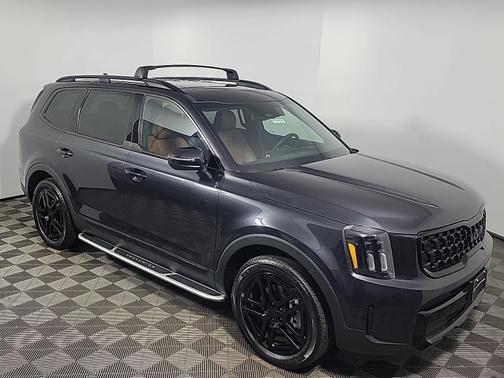 Panthera Metal 2025 Kia Telluride EX X-Line