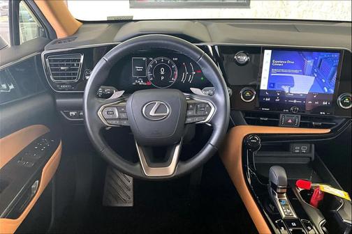 2022 Lexus NX 250 Base