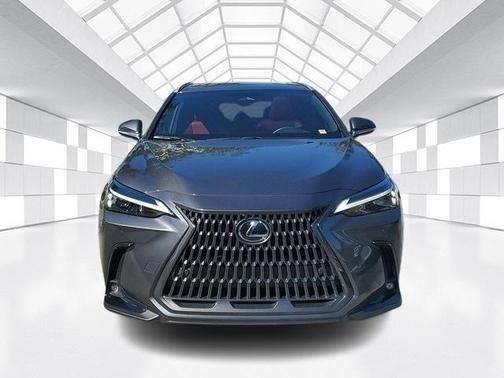 2025 Lexus NX 250 Premium