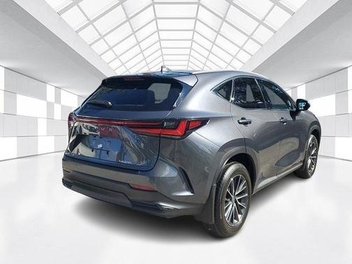 2025 Lexus NX 250 Premium