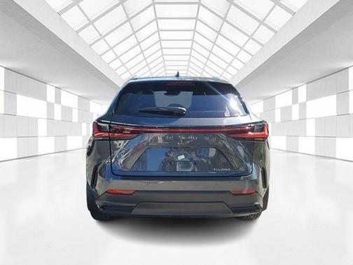 2025 Lexus NX 250 Premium