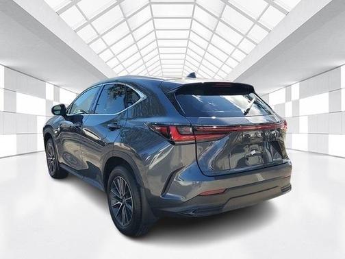 2025 Lexus NX 250 Premium