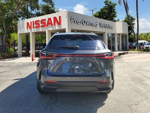 2025 Lexus NX 250 Premium