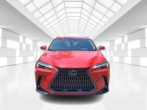 2024 Lexus NX 250 Base