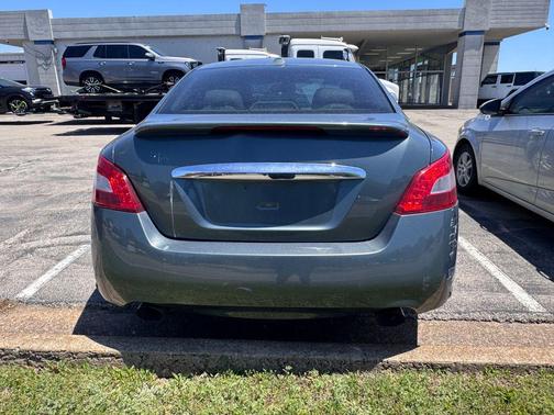 Mystic Jade 2010 Nissan Maxima SV