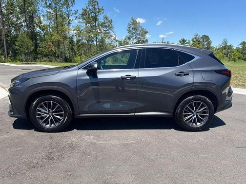 Cloudburst Gray 2025 Lexus NX 250 Premium