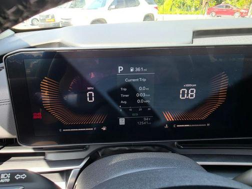 Panthera Metal 2026 Kia Carnival LXS