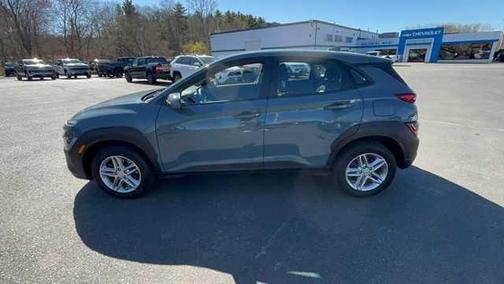 Cactus Fern 2022 Hyundai KONA SE