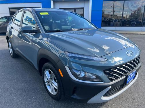 Cactus Fern 2022 Hyundai KONA SE