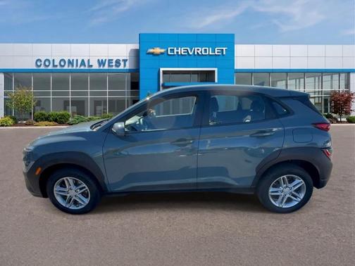 Cactus Fern 2022 Hyundai KONA SE