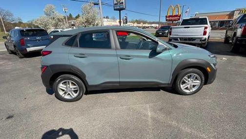 Cactus Fern 2022 Hyundai KONA SE