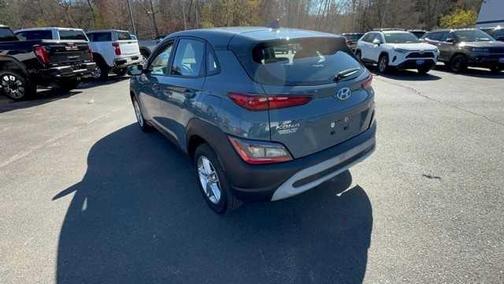 Cactus Fern 2022 Hyundai KONA SE