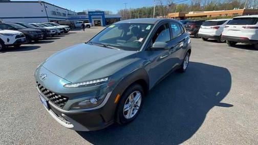 Cactus Fern 2022 Hyundai KONA SE