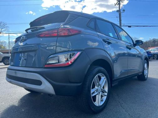 Cactus Fern 2022 Hyundai KONA SE