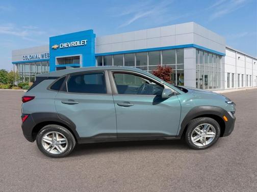 Cactus Fern 2022 Hyundai KONA SE