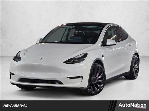 2022 Tesla Model Y Performance Dual Motor All-Wheel Drive