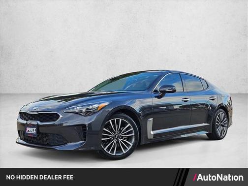 Panthera Metal 2019 Kia Stinger Base