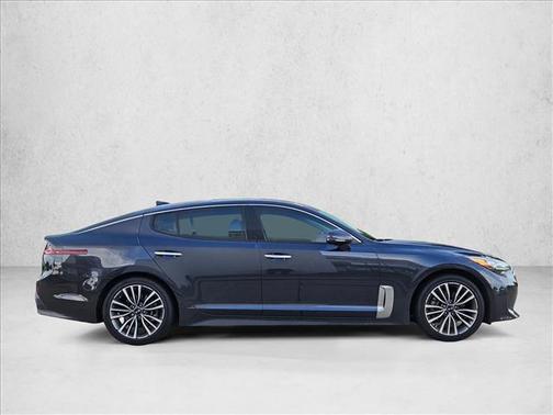 Panthera Metal 2019 Kia Stinger Base