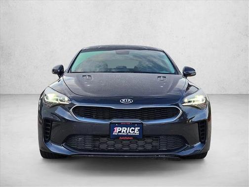 Panthera Metal 2019 Kia Stinger Base