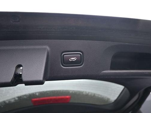 Dark Moss 2020 Kia Telluride EX