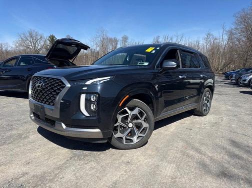 Moonlight Cloud 2022 Hyundai PALISADE Calligraphy