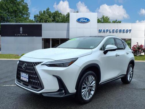2024 Lexus NX 350 Luxury