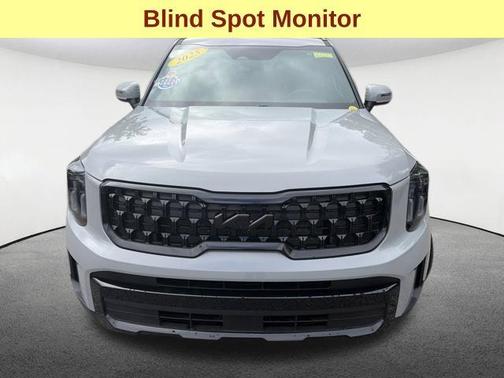 Wolf Gray 2025 Kia Telluride EX X-Line