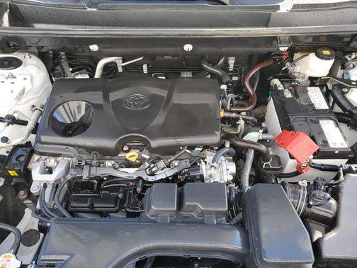 Ice Cap 2024 Toyota RAV4 LE