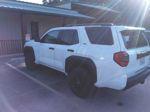Ice Cap 2025 Toyota 4Runner SR5