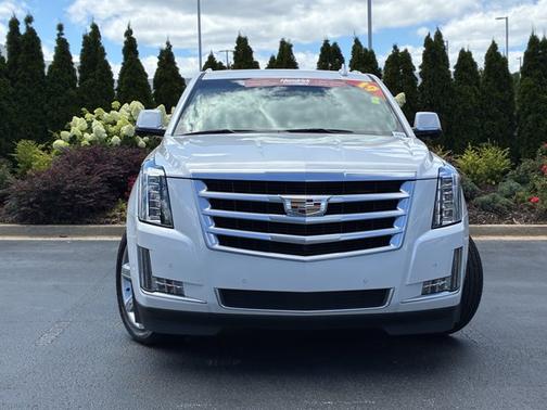 Crystal White Tricoat 2019 Cadillac Escalade ESV Premium Luxury