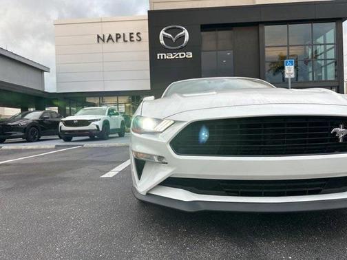 2019 Ford Mustang GT Premium